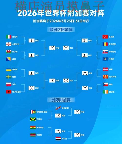 2026世界杯期间热门世界杯买球网站盘点分析与用户反馈分析