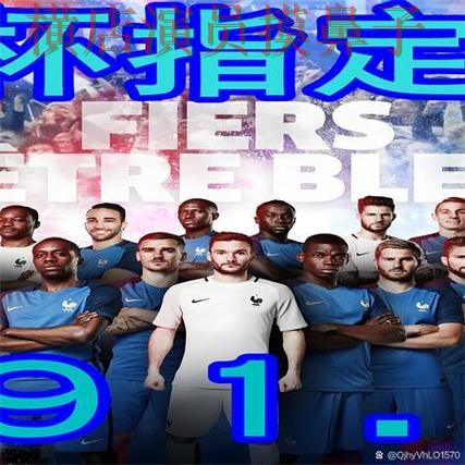 世界杯买球网站精选：用户反馈+直播全指南 - 世界杯官方信息